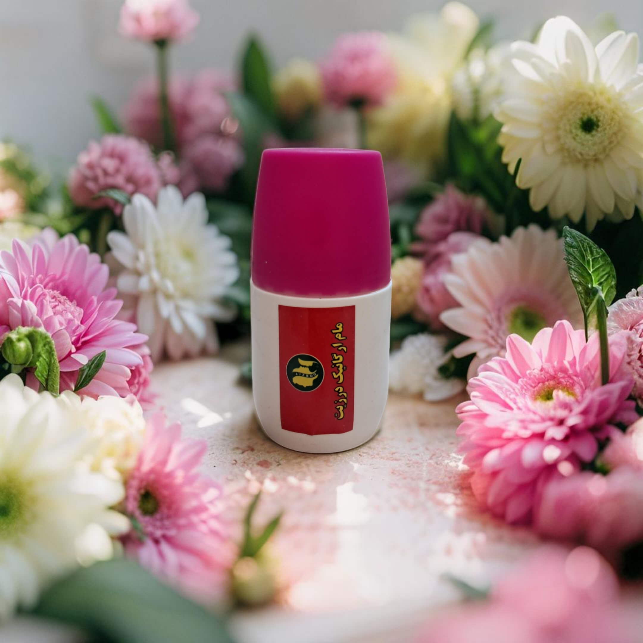 image_Pippit_202505021531 - 2025-05-02T173840.481 (1).jpg